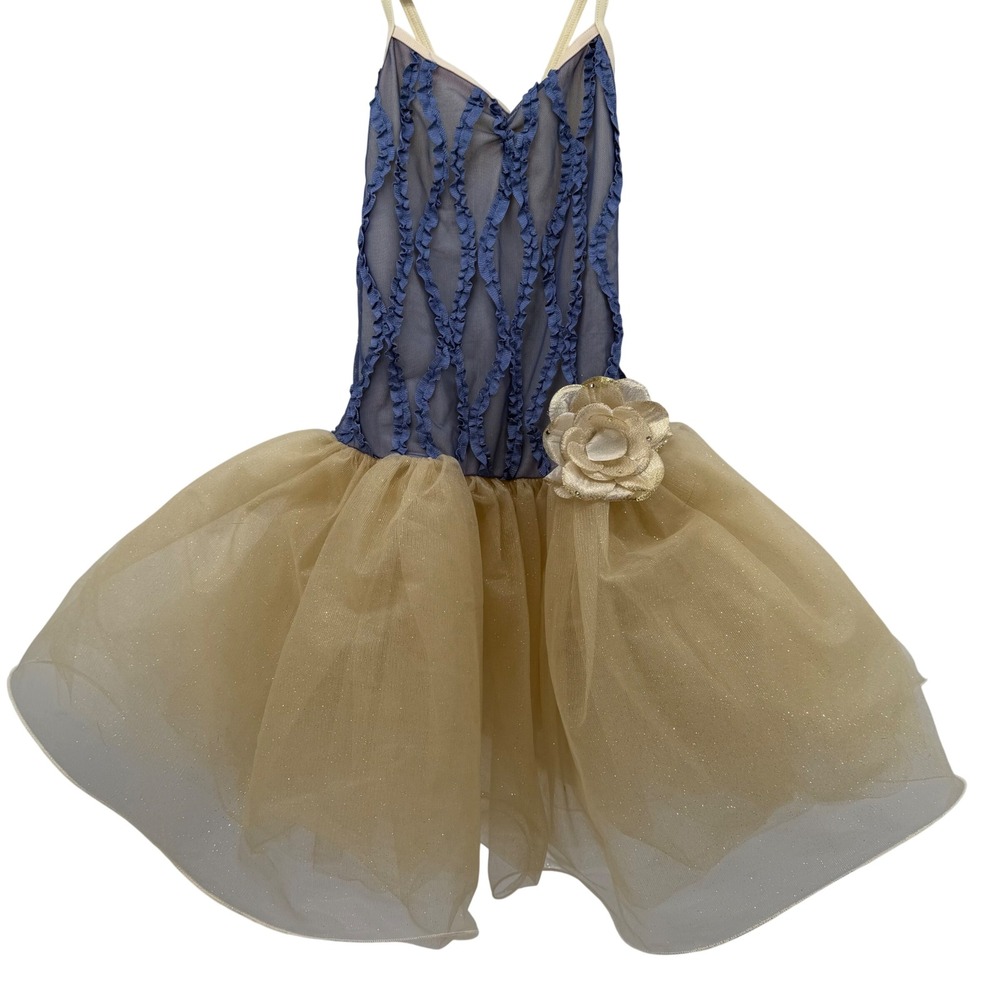 Weissman Blue Gold Ruffle Tutu Dance Leo Costume Belle M Halloween Disneybound